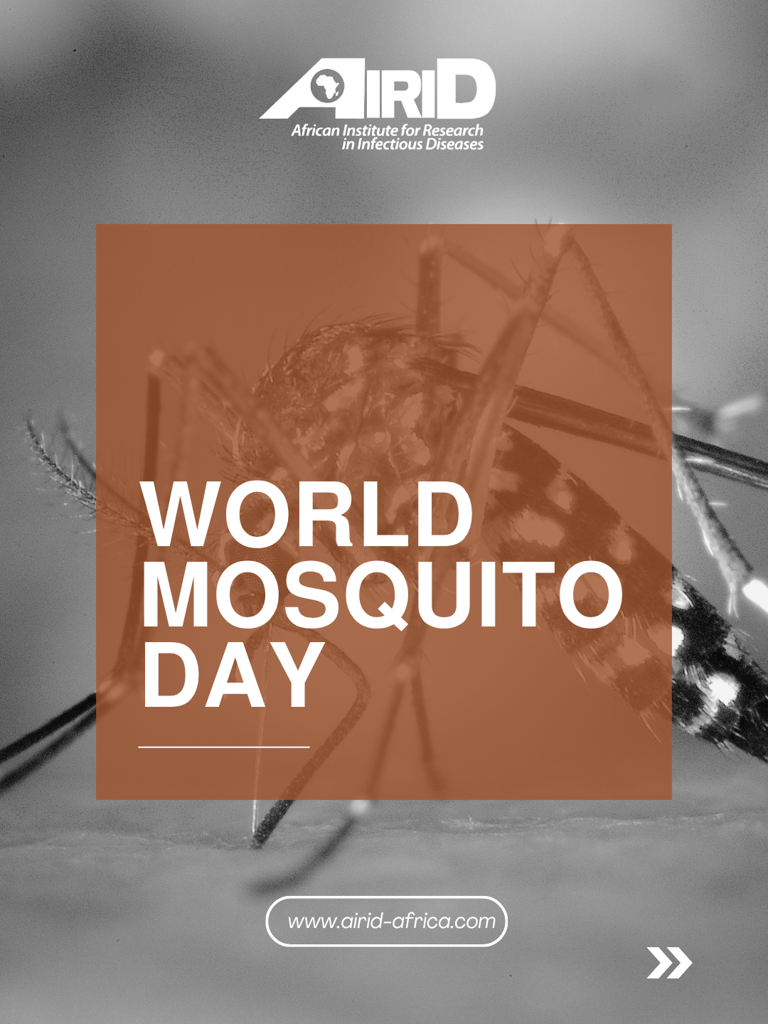 THE WORLD MOSQUITO DAY HAS PASSED, BUT THE CONVERSATION MUST CONTINUE. — Photo 8