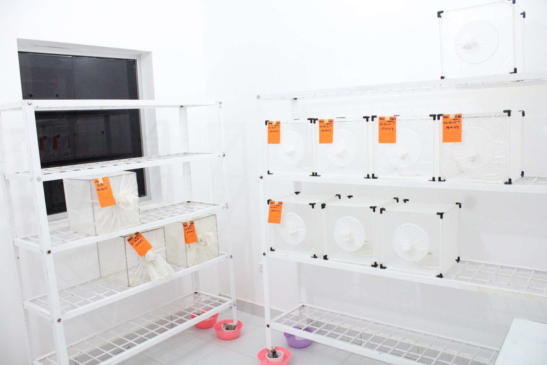 Insectary