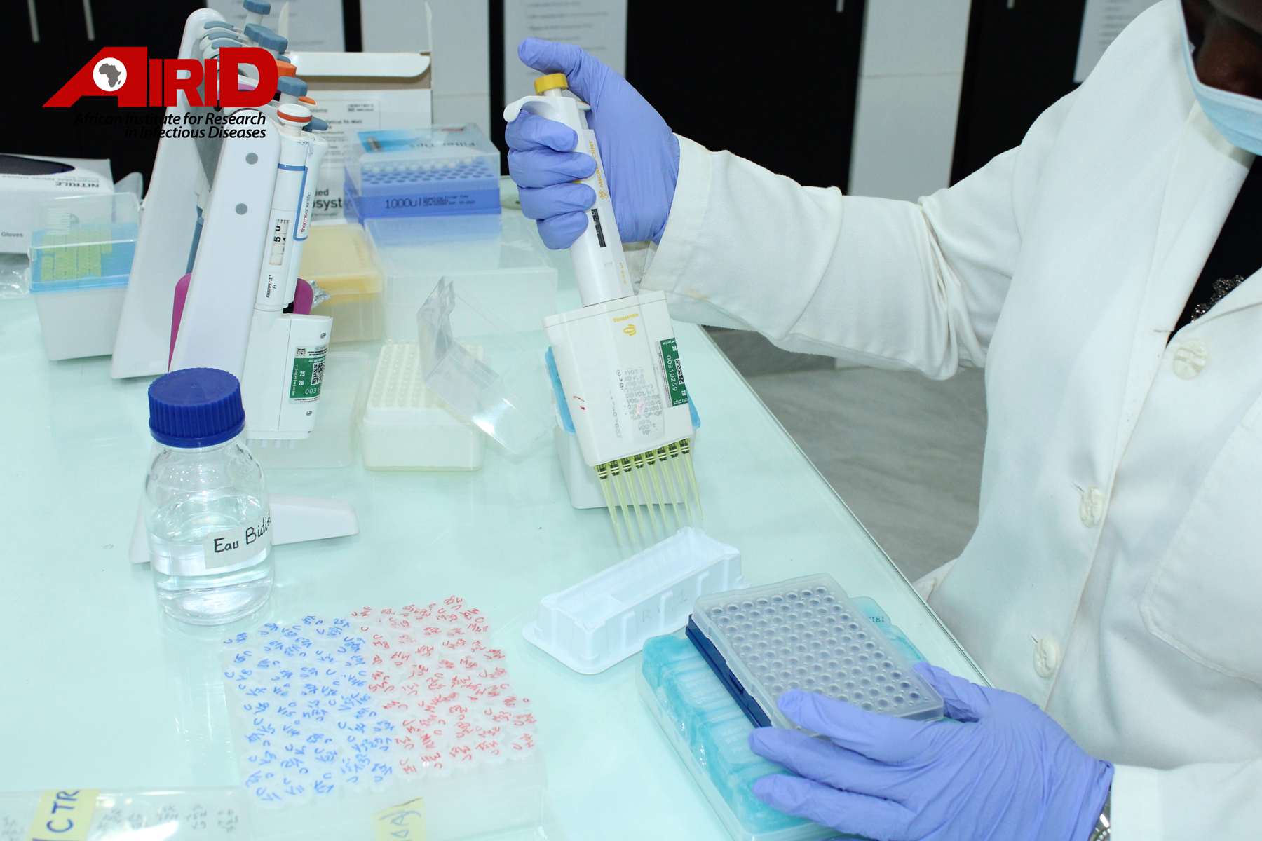 Molecular Lab Installations