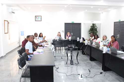 PLUS Project Process Evaluation Workshop