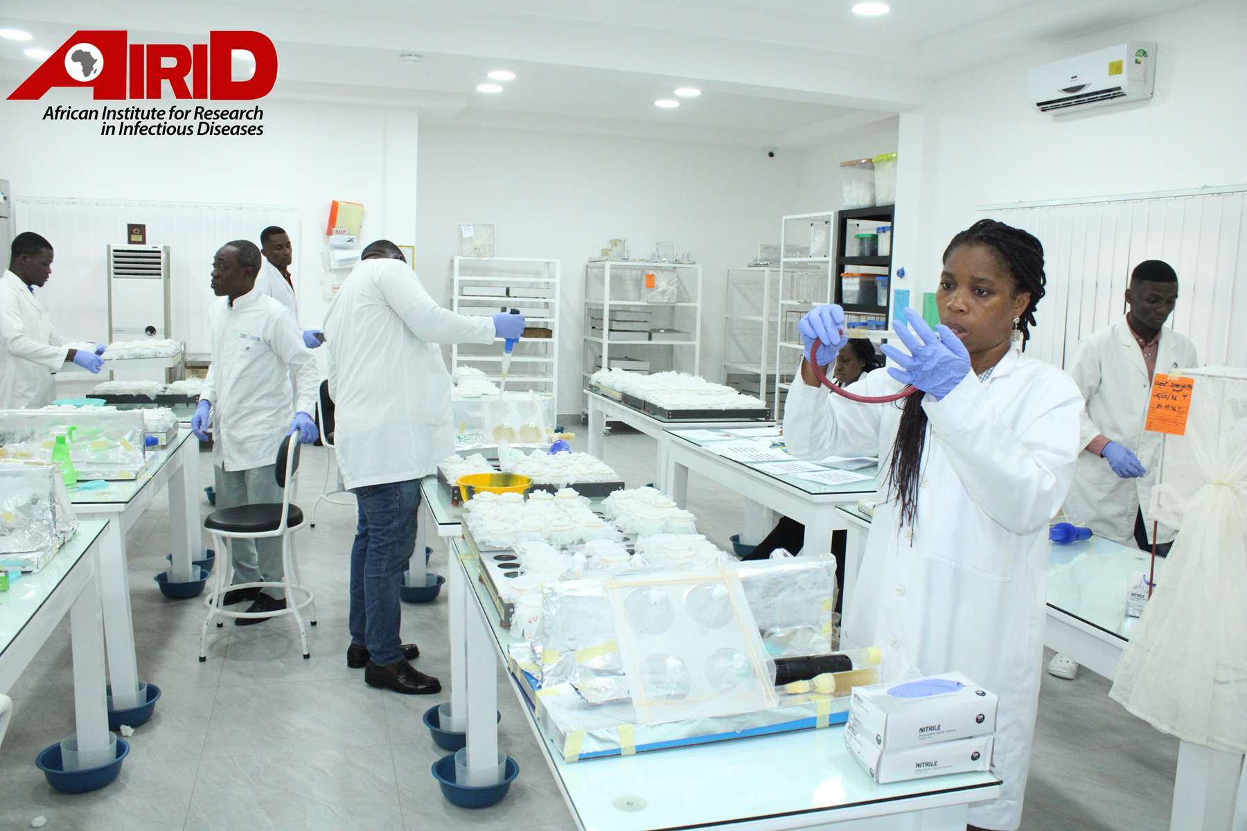 Insecticide Bioassay and Testing Laboratories